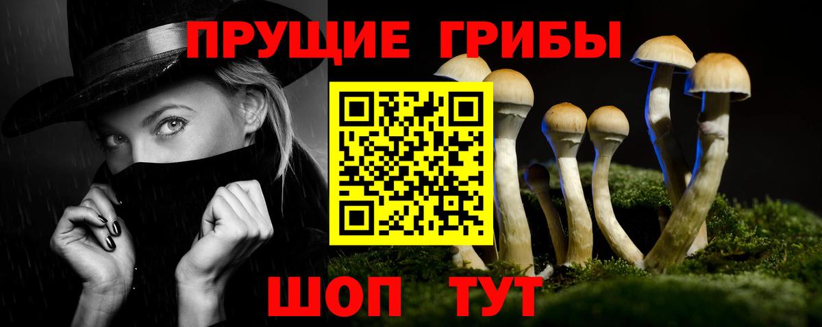 закладки  Вход с VPN  Ессентуки  Псилоцибиновые грибы MAGIC MUSHROOMS 
